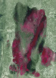 Abstrato em verde magenta vibrante