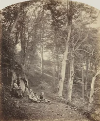 Um caminho através de uma floresta, c. 1860.