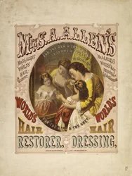 O restaurador de cabelo da Sra. SA Allen&39;s World, Hair Dressing, 1865 (litografia)
