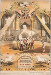 O maravilhoso e maravilhosamente treinado cavalo Excelsior, c.1840 (chromolitho)