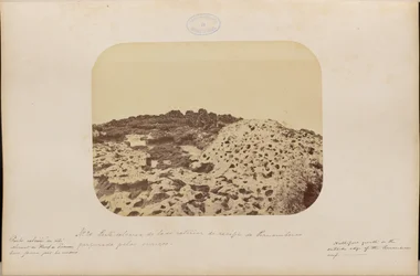 Parte calcarea do lado exterior do recife de Pernambuco perfurada pelos vuriços