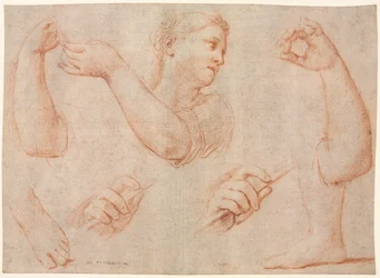 Estudo de uma jovem tocando pandeiro e estudos de um braço, mãos e pés ..., c. 1711