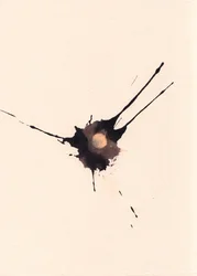 Blot 2, 2018 (tinta e lixívia sobre papel)