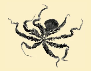 Polvo, 2019 (gyotaku sobre papel de arroz)