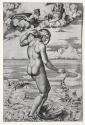 O Nascimento de Vênus