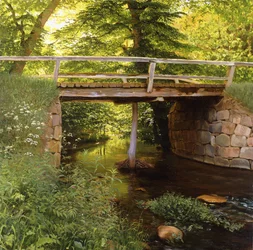 Um riacho na floresta com uma ponte de madeira