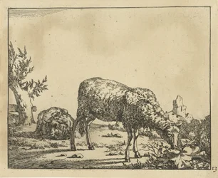 Pastoreio de ovelhas e ovelhas deitadas na cerca Carneiro (título da série)