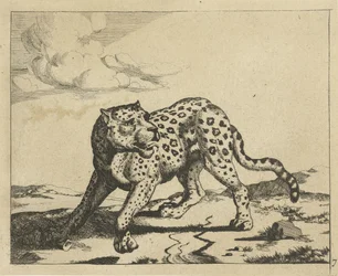 Leopard, de pé à esquerda, cabeça para a direita Leopardos (título da série)