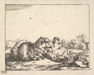 Ovelhas, de um conjunto de 16 pratos, 1664.