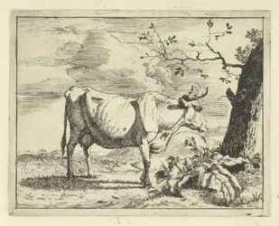 Vaca em pé perto de uma árvore
Bovinos e suínos (título da série)