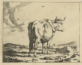 Vaca em pé, vista por trás
Bovinos (título da série)