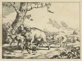 Javali atacado por quatro cães de caça Cães de caça (título da série)