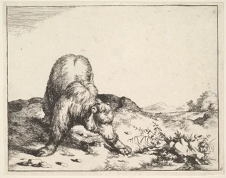 de The Set of The Bears, ca. 1664.