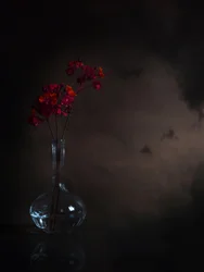 Flores Vermelhas Melancólicas