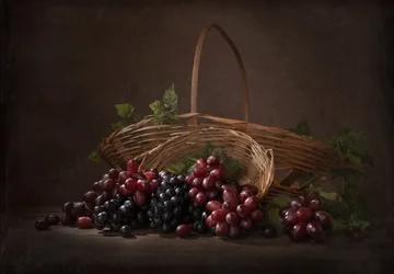 Uvas abundantes da vinha