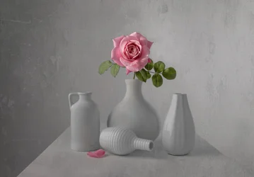 Natureza morta com uma delicada rosa rosa