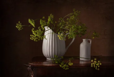 Natureza morta com flores de endro