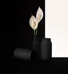 Contraste floral elegante