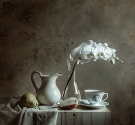 Natureza morta elegante com orquídeas