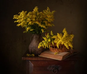 Natureza morta com solidago