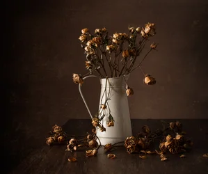 Natureza morta com rosas secas da Moody