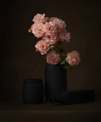 Rosas Rosa Melancólico