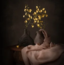 Orquídeas Amarelas Melancólicas