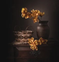 Orquídeas Amarelas Melancólicas