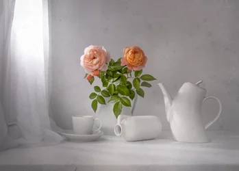 Chá de Rosa Matinal