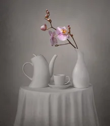 Hora do Chá da Orquídea Rosa