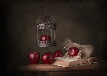 Maçãs rústicas e um livro