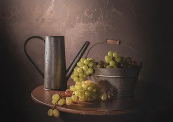 Colheita de Uvas Vintage
