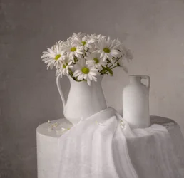 Natureza morta com margaridas brancas