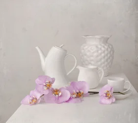 Natureza morta com orquídea branca