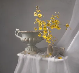 Natureza morta com orquídea amarela