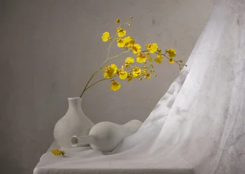 Natureza morta com orquídeas amarelas