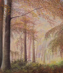 Bosques enevoados