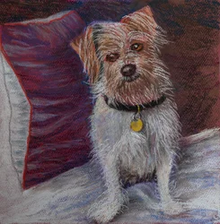 Meu cachorrinho em almofada de seda, 2020 (pastel)