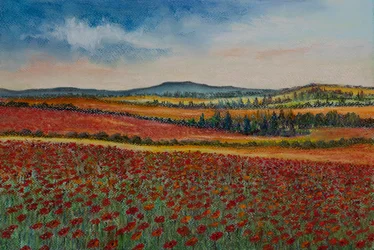 Campos de papoula..Flanders, 2020 (pastel)