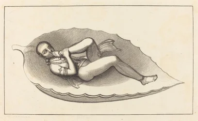Vishnu, Agente Criador de Brahma, Atitude, o Emblema da Eternidade