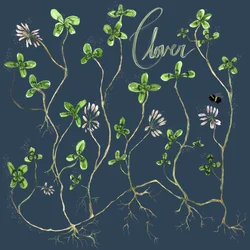 Clover Botanical, 2021 (aguarela sobre papel)