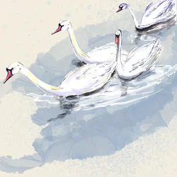 Cisnes de Hyde Park, 2021 (aguarela sobre papel)