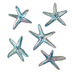 Peixe estrela, 2020 (aguarela sobre papel)