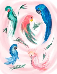 Espiral de pássaros tropicais, 2019 (aguarela sobre papel)