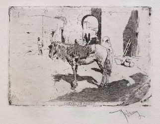Cavalo de Marrocos.
