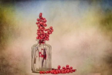 Natureza morta rústica com frutos silvestres
