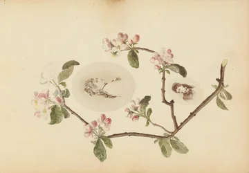 O álbum Madame B, década de 1870.