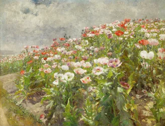 Papoilas em flor (óleo sobre tela)