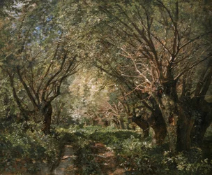 Avenida Willow em Stillfried an der March