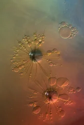 Explosões de estrelas coloridas e fluidas